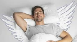 SCHLAFSTIL Daunen-Nackenstützkissen "D500" -Bettbezüge Verkäufe 2024 SCHLAFSTIL daunen nackenstuetzkissen hohe liegehoehe 1