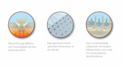 Daunen-Bettdecke "clima Balance Comfort Light" 7 Daunen-Bettdecke "clima Balance Comfort Light" -Bettbezüge Verkäufe 2024 angenehm feuchtigkeits waermeregulierung bettdecke 1