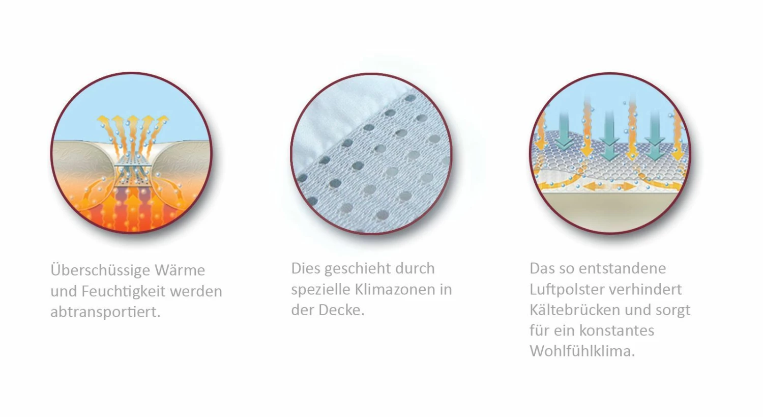 Daunen-Bettdecke "clima Balance Premium Light" 5 Daunen-Bettdecke "clima Balance Premium Light" – Bild 3