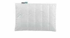 Centa-Star Bettdecke & Kissen "AllergoProtect®" Junior -Bettbezüge Verkäufe 2024 centa star gesteppt flachkissen allergoprotect junior