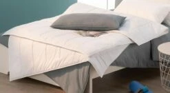 Centa-Star Markenfaser-Duo-Bettdecke "Regeneration" Normal