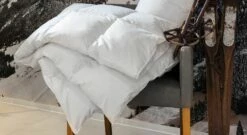 Centa-Star Daunen-Bettdecke "Moments" Warm