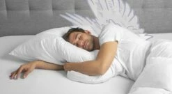 SCHLAFSTIL Daunen-Kissen "D400"