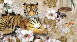 Kaeppel Mako-Satin-Bettwäsche "Royal Tiger" -Bettbezüge Verkäufe 2024 kaeppel mako satin bettwaesche royal tiger marke