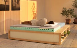 CALMARO Matratze (weich) 10 CALMARO Matratze (weich) -Bettbezüge Verkäufe 2024 matratze calmaro weich anpassungsfaehig schulterbereich