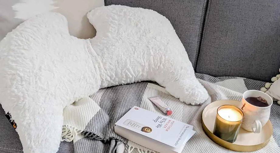 MeroWings-Kissen "Joy" Naboa 3 MeroWings-Kissen "Joy" Naboa