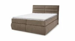 MUSTERRING Bettkasten-Boxspringbett "Felina-Case" Quersteppung -Bettbezüge Verkäufe 2024 musterring bettkasten boxspringbett felina case quersteppung bezug sandfarben