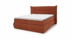 MUSTERRING Bettkasten-Boxspringbett "Felina-Case" Fledermaus -Bettbezüge Verkäufe 2024 musterring boxspringbett felina case fledermaus bezug orange