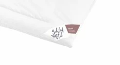 SCHLAFSTIL Kamelhaar-Flaum-Bettdecke "N500" Warm -Bettbezüge Verkäufe 2024 schlafstil kamelhaar flaum bettdecke n500 warm online kaufen