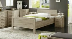 Seniorenbett "Palmira"