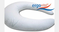 Riesen-Nackenhörnchen "ergorelax"